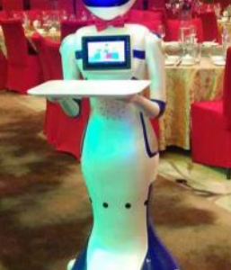 Robot người - RBN022