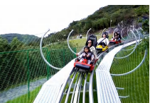 Tàu điện du lịch - TDL002