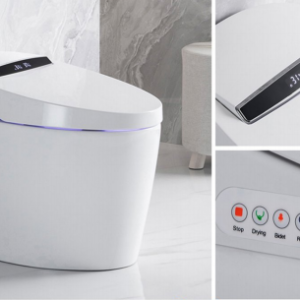 Bồn cầu thông minh - BTM001