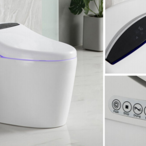 Bồn cầu thông minh - BTM003