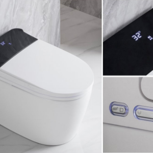 Bồn cầu thông minh - BTM004