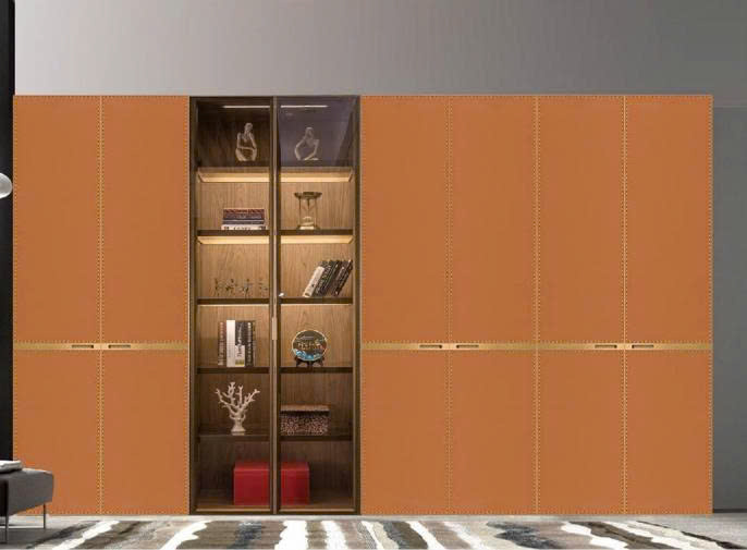 Các Mẫu Tủ Quần Áo -Leather Door